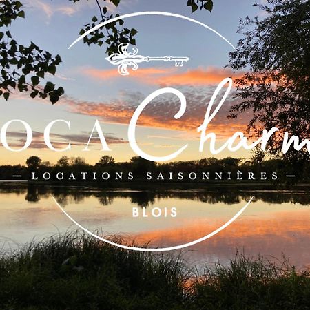 "Gite Les Futreaux" Vue Sur Loire & Linge Inclus Blois Zewnętrze zdjęcie
